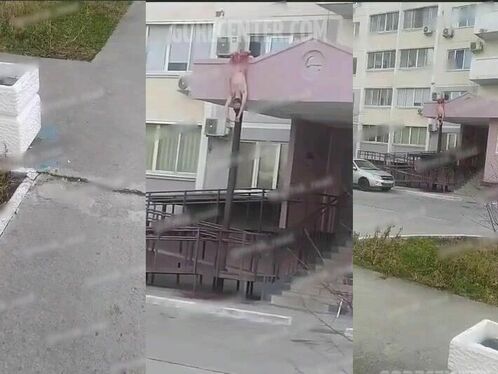 A Man Fell From An Apartment Window.