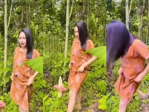 A Girl Desperately Wanted To Become An Online Celebrity, But She Accidentally Planted The Powder On The Wrong Plant.