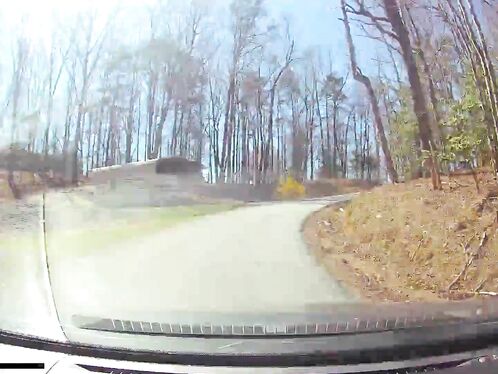 The Driver Stopped The Car In The Middle Of The Road.