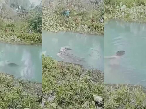 A Woman Was Captured And Killed By A Crocodile For Lunch.