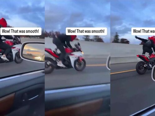 How Stupid Are You?