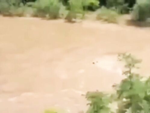 Three Young People Were Swept Away By The Current And Tragically Died.