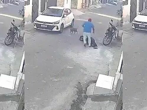 Not A Single One Was Left.