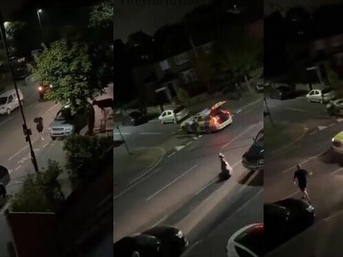 The Innocent Cow Is Unharmed.