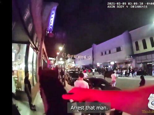 A Drunk Man In Florida Assaulted A Police Horse, Causing One Of The Wild Horses To Escape.