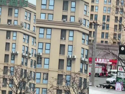 A Sad Girl Sat There, Contemplating Life, And Then Jumped.