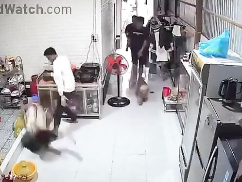 That's Outrageous! Hey, Maybe He's Sleepwalking.