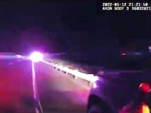 The Dog Was Unharmed, But It Was Clearly Frightened After Colliding With The Sheriff's Dog Unit's Delivery Truck.