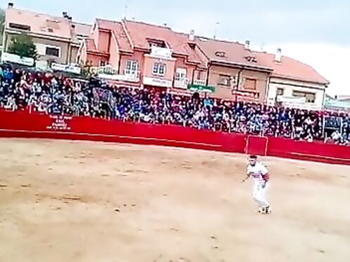 Never Mess With The Bull.