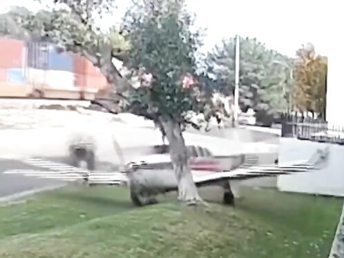 Small Plane Crashes Into Tree