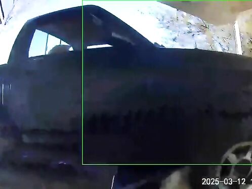 A Drunk Driver Almost Hit Me In My Garden.