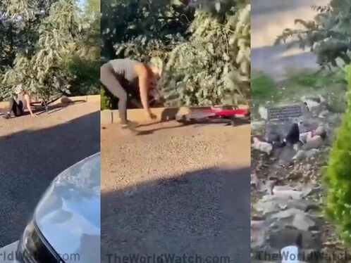 Continuing To Film Is Simply Insane.