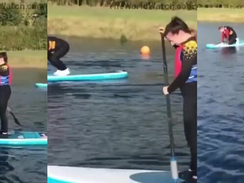 A Touch Of Innocent Humor In A Gloomy World