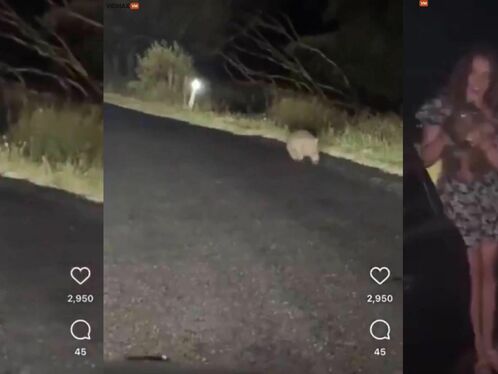 American Influencer Faces Deportation From Australia