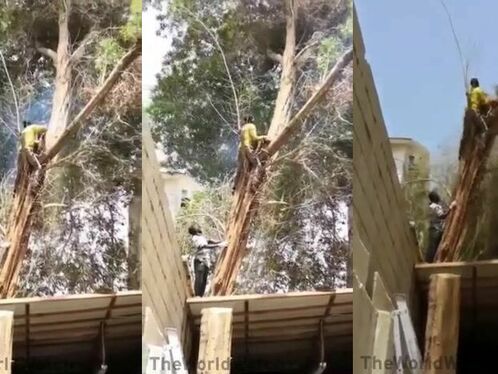 Hurry Up And Wait Patiently.