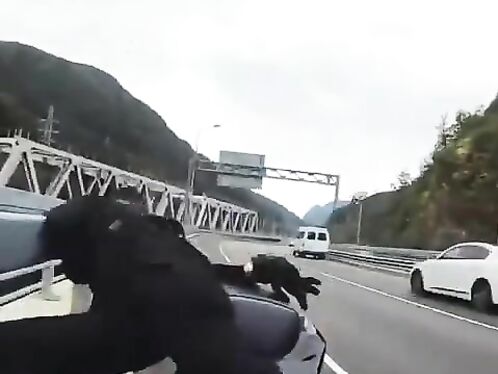 Olga Pronina's final ride