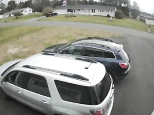Dog drags owner down the driveway after spotting squirrel