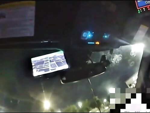 Cop's car crashes into pins