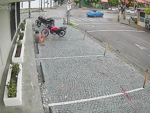 Man on bike gets run over by car and keeps riding