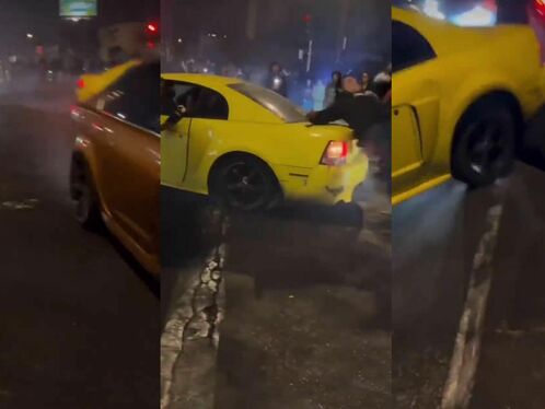 A man's dog heroically takes cover from a speeding car