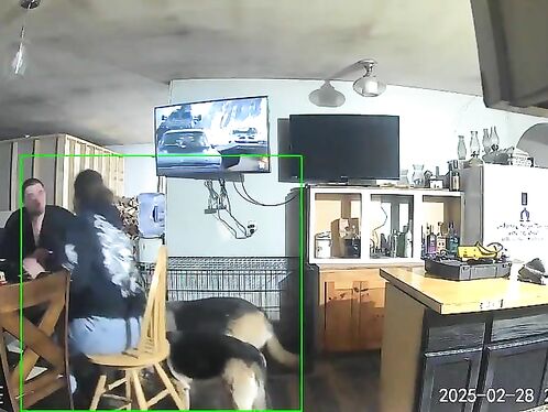 Man jumps and falls when dog startles him