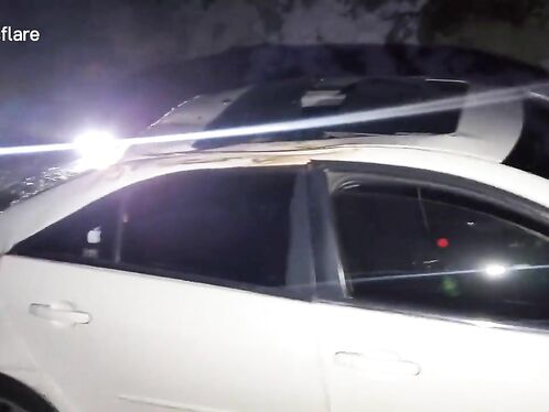 Tree crushes car in California