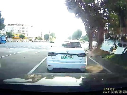 Car almost crashes into a fallen tree in the middle of the road