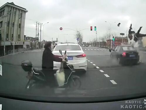 Dog jumps off motorcycle into oncoming traffic