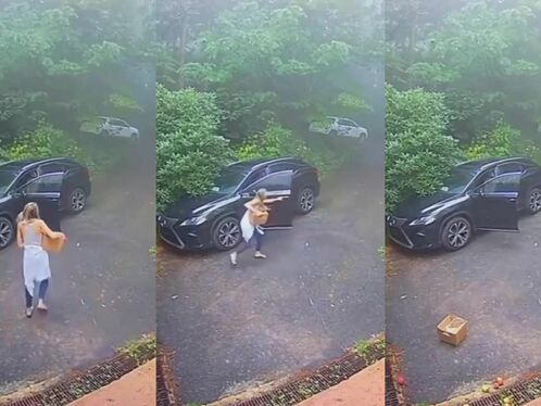 Man is on the phone while an animal steals from his car