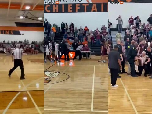 Referee attacked after basketball match