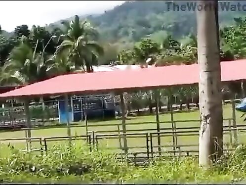 Small plane crashes into a fence, bursts into flames