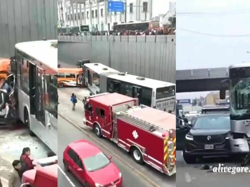 Bus driver survives after crash, pulled from wreckage