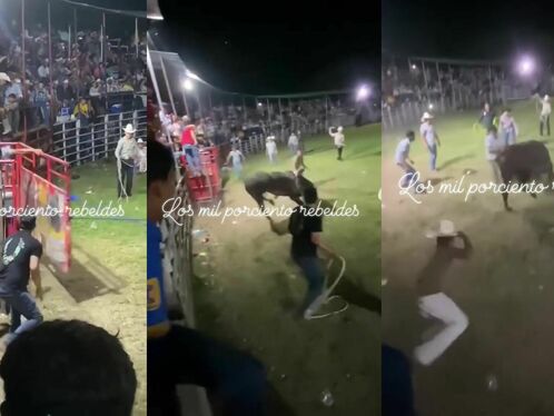 Crowd is captured in a rodeo arena chasing a bull