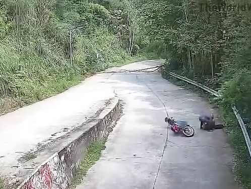 Motorcyclist crashes and tumbles down hill