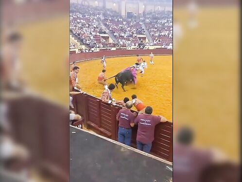 Bullfighter killed in first fight