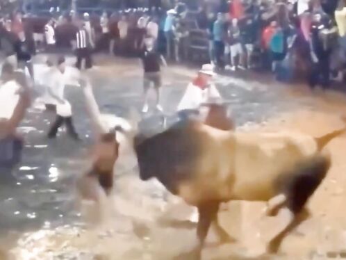 Crowd watches as bull knocks man into the water