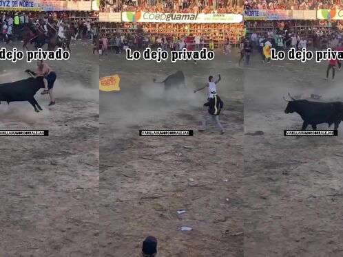 Crowd runs as bull slips and falls in the arena