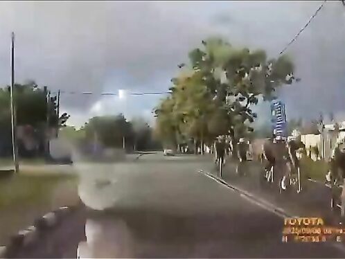Herd of cows causes chaos on residential street