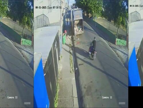 Livestock truck crashes and dumps sheep into the street