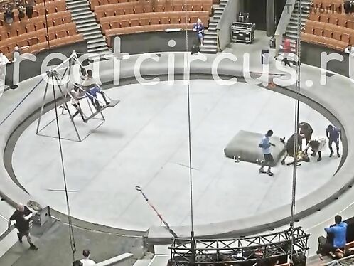 Gymnast dies during practice