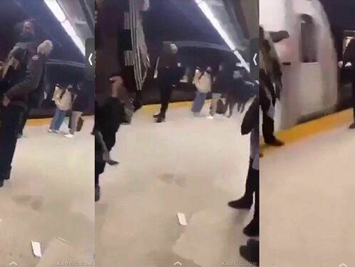 Monkey escapes from enclosure at train station