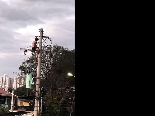 Man on pole gets electric shock