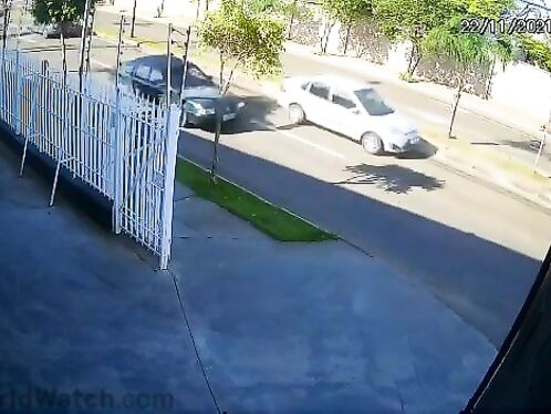 Dog chases cyclist in front of moving bus