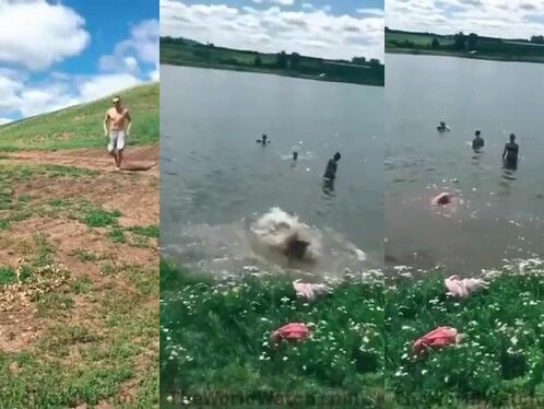 A man slips and falls into a lake while trying to catch something