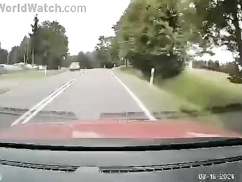 Car crashes into house after losing control