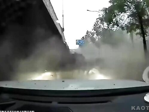 Dog leaps onto hood of moving car in front of dashboard camera