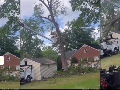Huge tree falls and damages power line in neighborhood