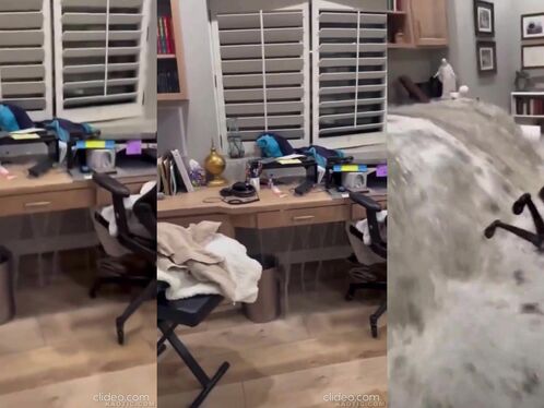 Office chair rolls off balcony after failed stunt