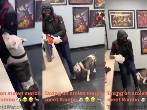 Man playfully interacts with a small dog while holding stolen merchandise