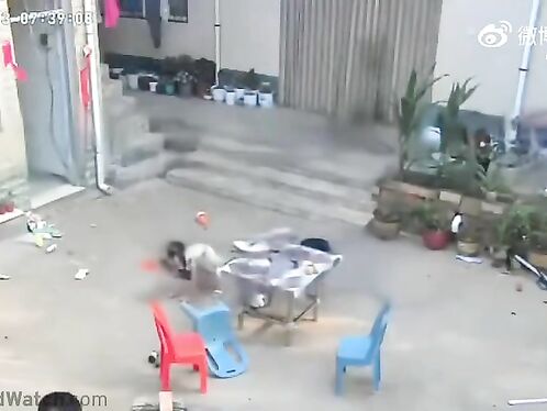 Girl gets swallowed by something